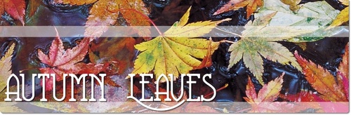 /images/autumn-b.jpg?size=500x&q=95