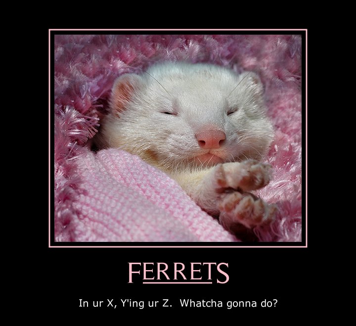 /images/demote.jpg?size=500x&q=95