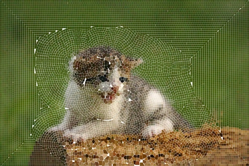 /images/mitten-m.jpg?size=500x&q=95