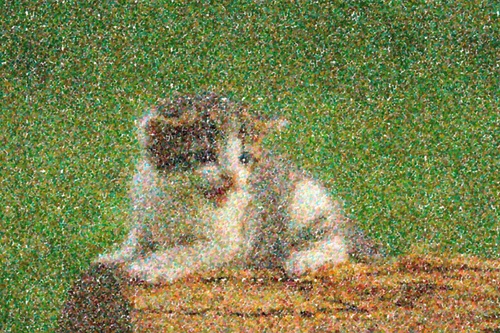 /images/pitten-m.jpg?size=500x&q=95