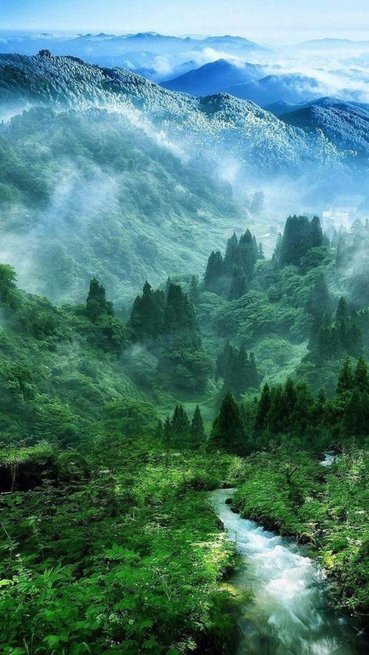https://ai.mee.nu/images/MountainForestStream.jpg?size=720x&q=95